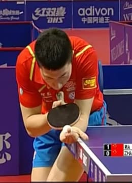 术智慧的比 术智慧的比