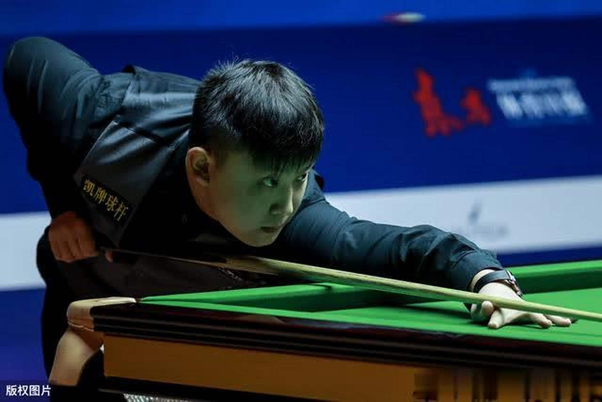 因其丰富的 因其丰富的