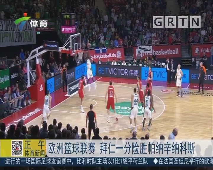 部分半月板 部分半月板